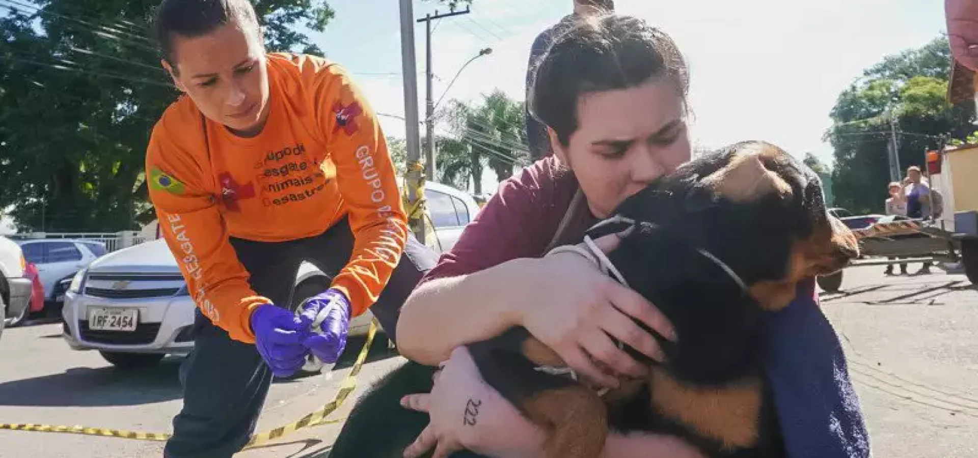 O Dioctophyma renale é um parasita que acomete principalmente os rins dos cães

Foto: Jurgen Mayrhofer/Ascom SSPS