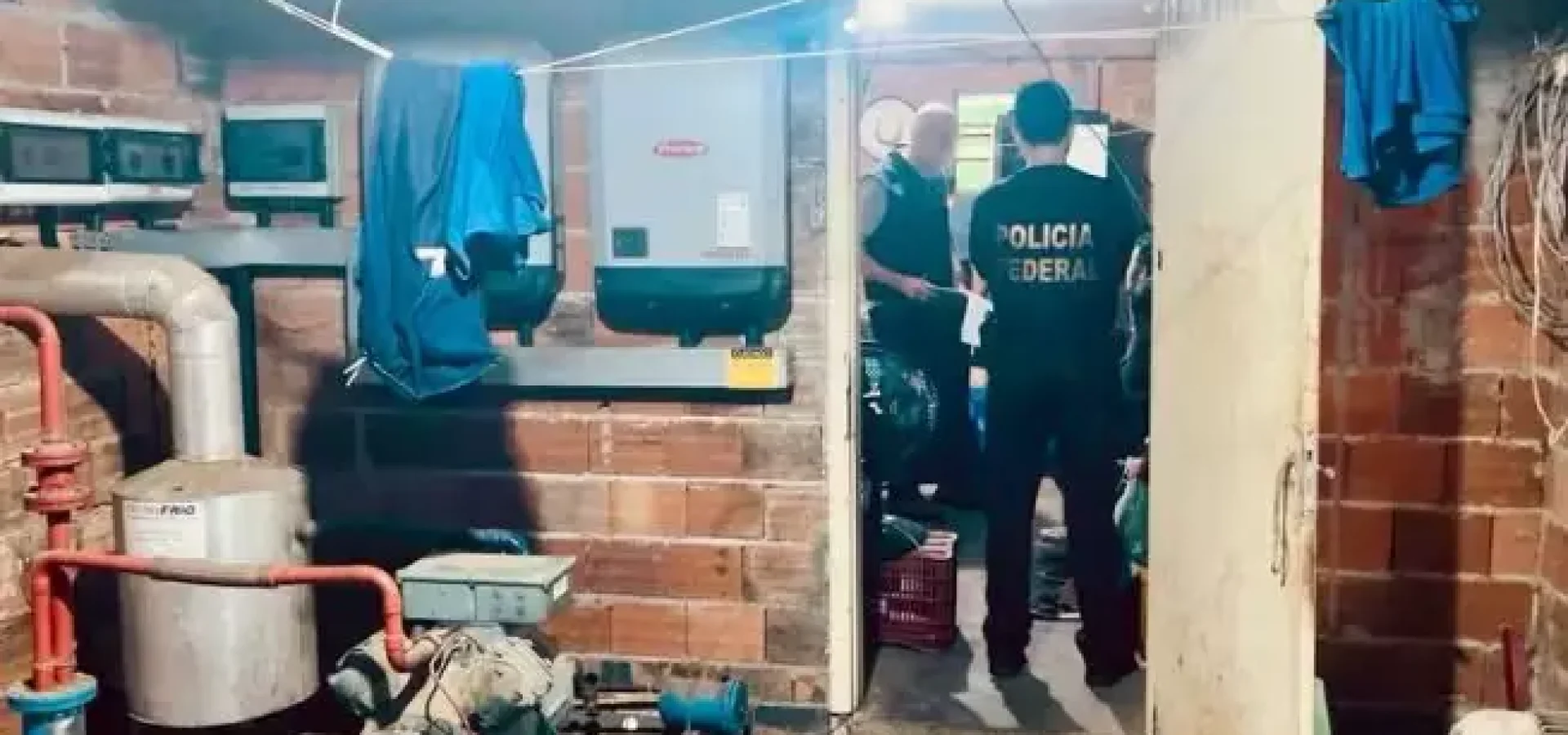 Situação foi constatada a partir de denúncia anônima. (Foto: Divulgação/PF)