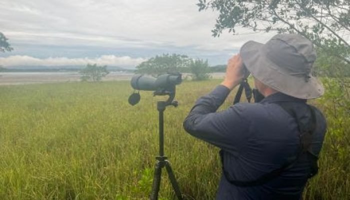 Joinville desponta como destino promissor para o turismo de observação de aves