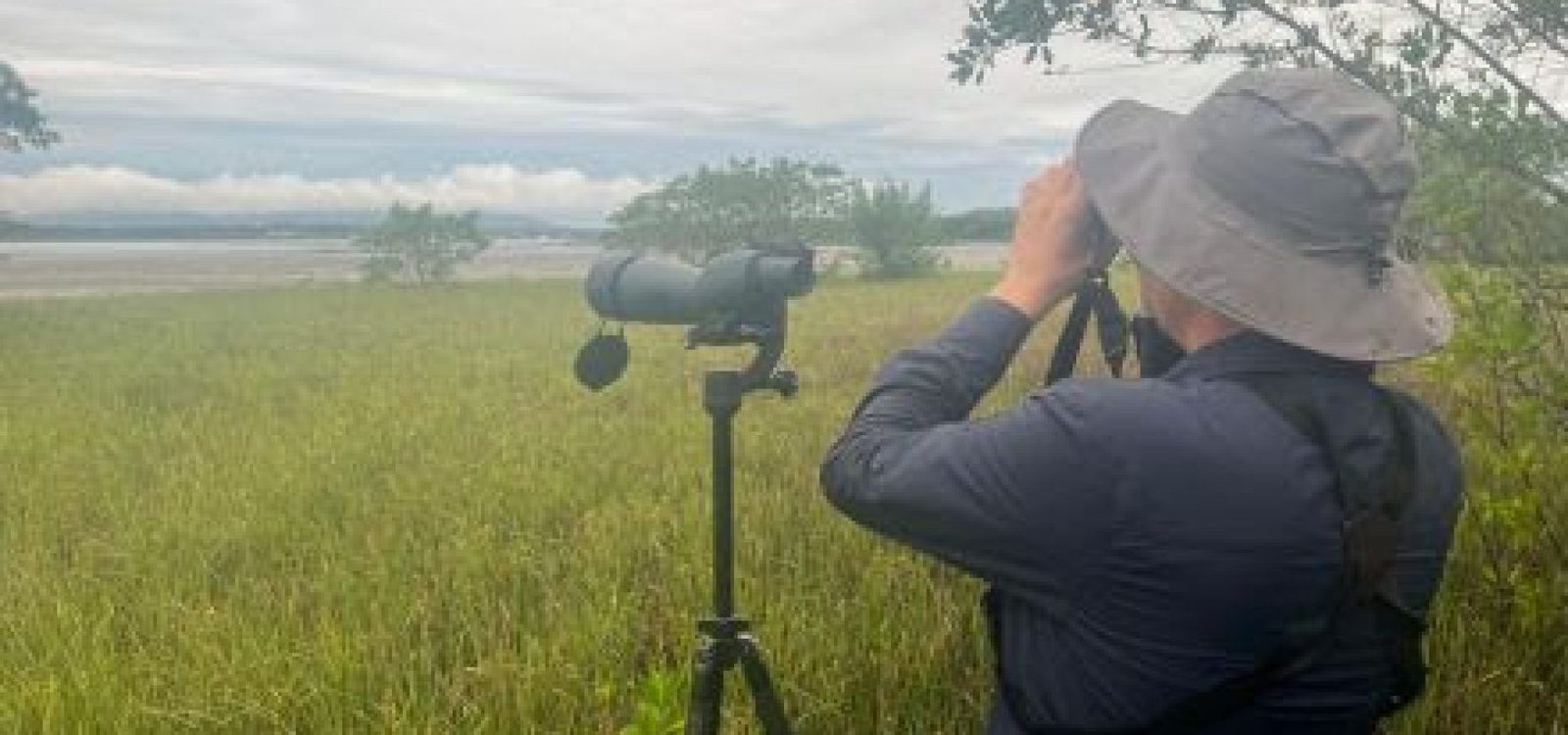 Joinville desponta como destino promissor para o turismo de observação de aves Joinville desponta como destino promissor para o turismo de observação de aves