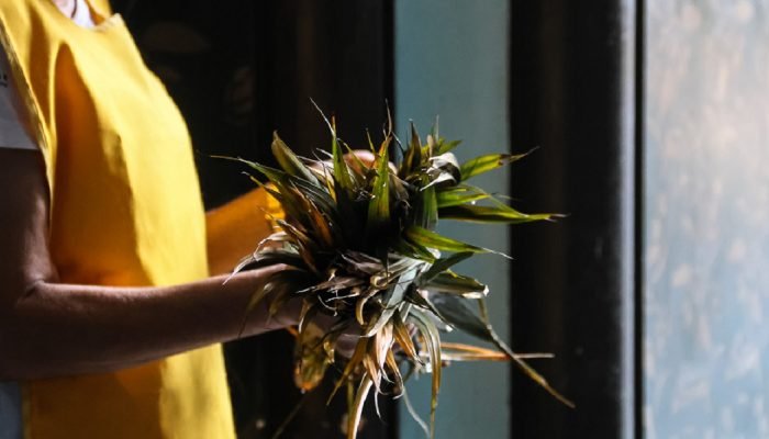 Neste domingo (13), fiéis cristãos, em especial os católicos, celebram a tradição, neste período que antecede a Páscoa.