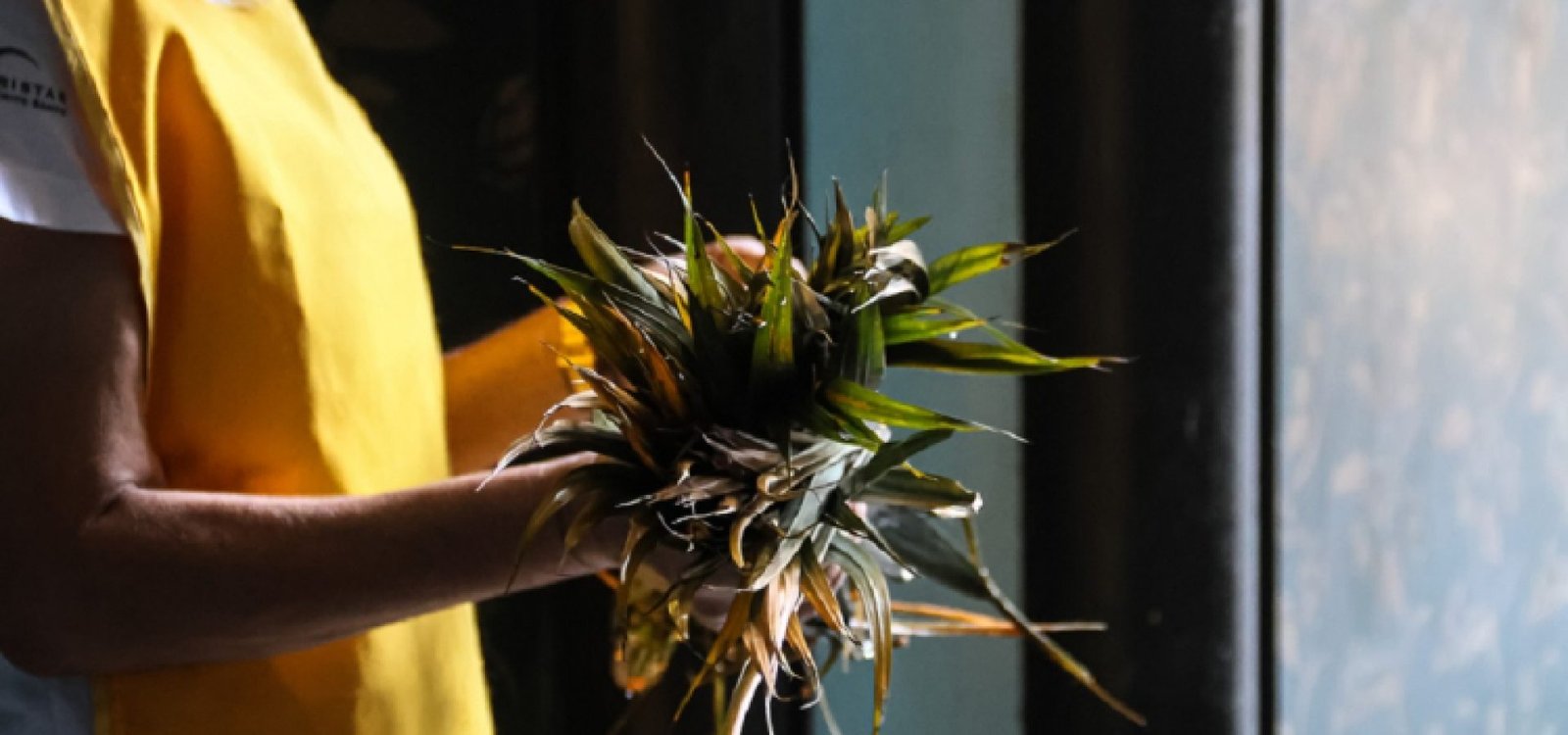 Neste domingo (13), fiéis cristãos, em especial os católicos, celebram a tradição, neste período que antecede a Páscoa.